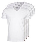 Dickies | V-NECK 3 PACK Basic T-shirt(T Shirts)