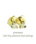 pinacoteca | ピナコテーカ 324 タイニー 一粒ダイヤモンド スタッド ピアス 0.02ct(耳環（雙耳用）)