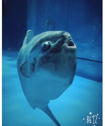 くち！笑 | その他