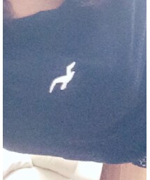 Hollister | Tシャツ/カットソー