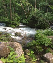 マイナスイオン2(その他)