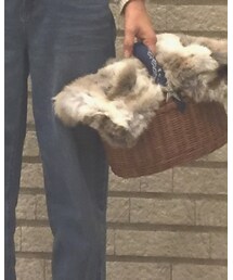 menui | かごバッグ