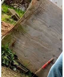 BEAUTY&YOUTH UNITED ARROWS | デニムパンツ