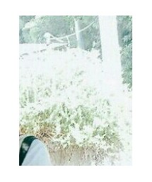 BEAMS | Tシャツ/カットソー