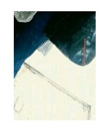 UNIQLO | その他パンツ