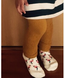 green label relaxing | ソックス/靴下