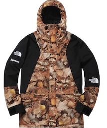 THE NORTH FACE | マウンテンパーカー