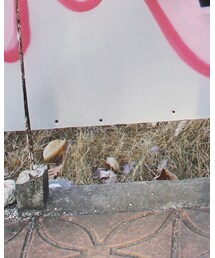 adidas Originals | スニーカー