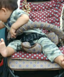 next | ロンパース