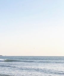 MUSE | ジャケット/アウター