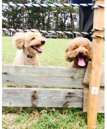 龍之介 虎之助 | その他