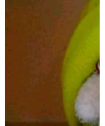 flying tiger | ニットキャップ/ビーニー