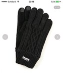 Thinsulate | (Gloves)