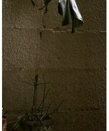 LIFT UP | スラックス