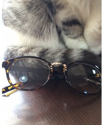 brand ? | ボストンタイプ(メガネ)