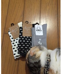 brand ? | ソックス/靴下