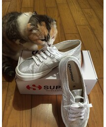 SUPERGA | スニーカー