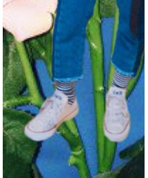 tutuanna | ソックス/靴下