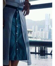 EVISU | デニムスカート