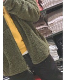 Hollister | パーカー
