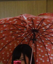 桜柄の傘(長傘)