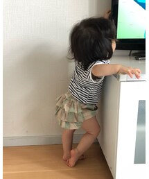 🐾 | ラッピングキット