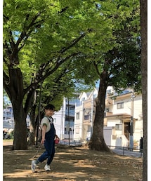 🌳 | ラッピングキット