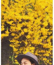 Borsalino | ハット