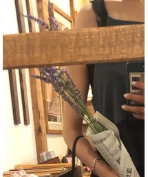 ラベンダー | その他