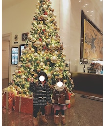 🎄 | その他