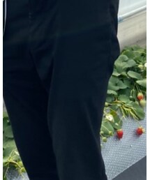 UNIQLO | その他パンツ