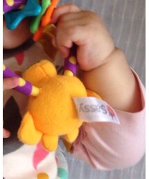 sassy お気に入りのきりんしゃん 頂き物 | おもちゃ