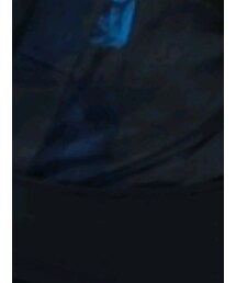 DIET BUTCHER | 和装小物