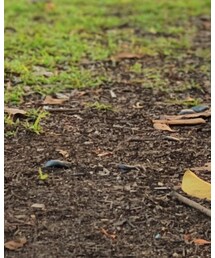 ZARA KIDS | スニーカー