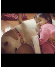 実家にて。 | その他