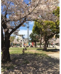 加工なしでこの綺麗さ。 | その他