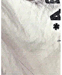 A BATHING APE | Tシャツ/カットソー