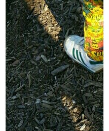adidas | スニーカー