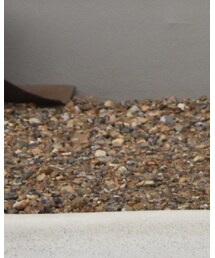 CONVERSE | シューズ