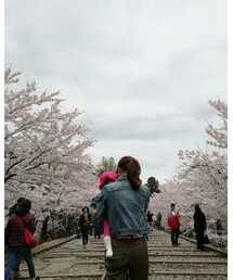 線路をてくてく | その他