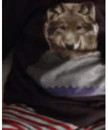 Birthday | スウェット