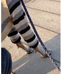 Taylor83 | Tシャツ/カットソー