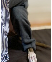 Taylor83 | サロペット/オーバーオール