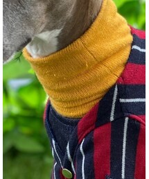 Taylor83 | ニット/セーター