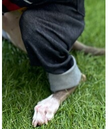 Taylor83 | サロペット/オーバーオール