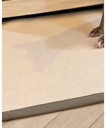 Taylor83 | ラグ/マット