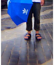 BIRKENSTOCK | モカシン/デッキシューズ