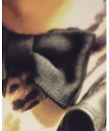 H&M | 蝶ネクタイ