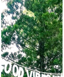 SLS 2018💘 | その他