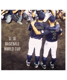 U18野球ワールドカップ | その他
